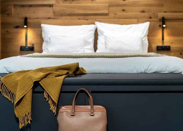 Rezidence Alpina Apartament Szpindlerowy Młyn